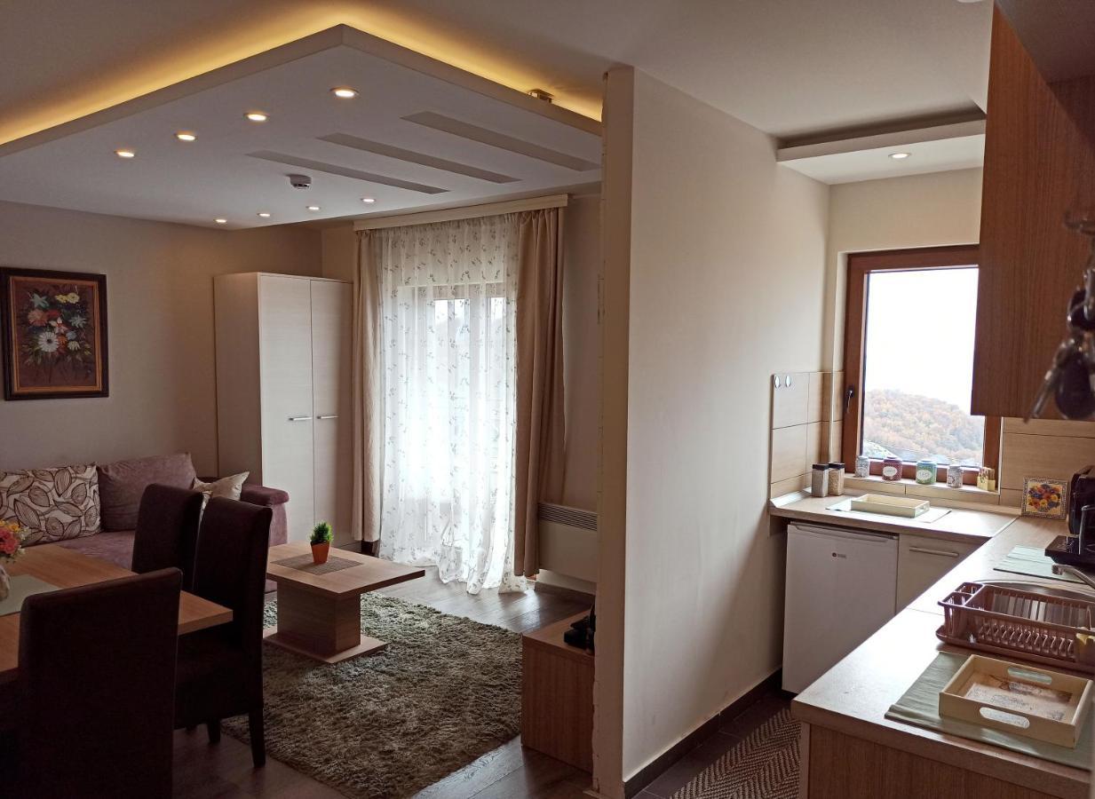 Modern Lux Apartment H8 At Milmari Resort Kopaonik Exterior photo